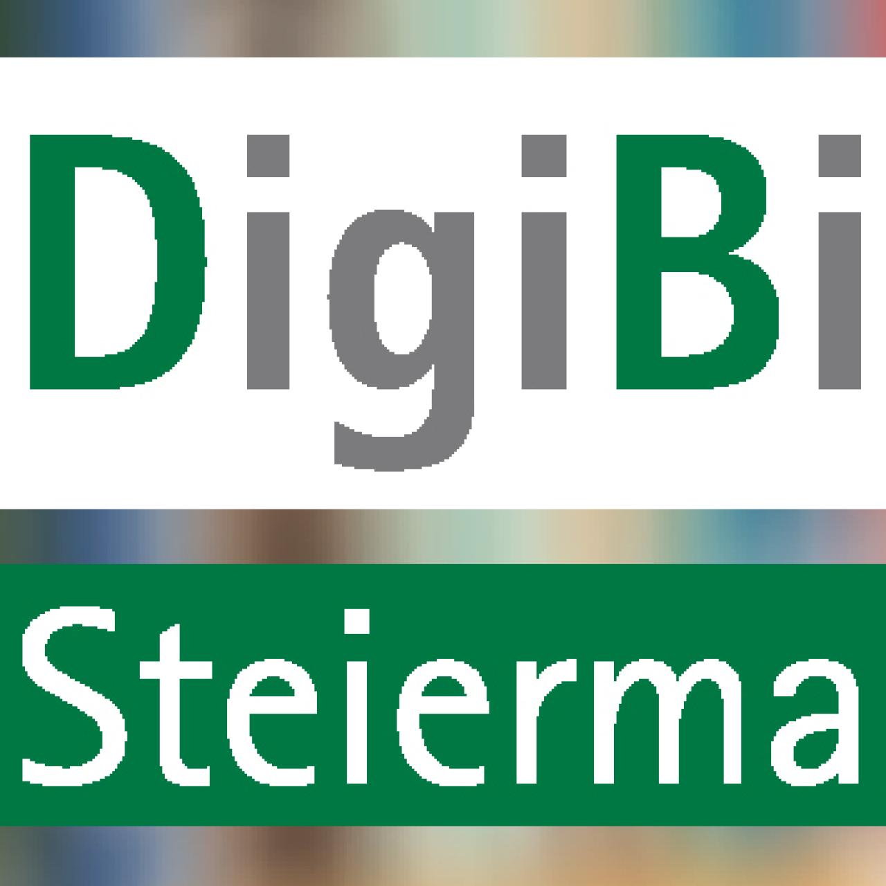Logo: DigiBib Steiermark